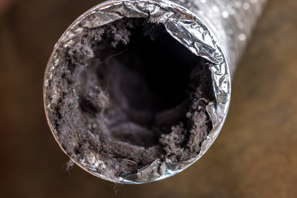 Best HVAC Duct Inspection Services  in Half Moon, NC